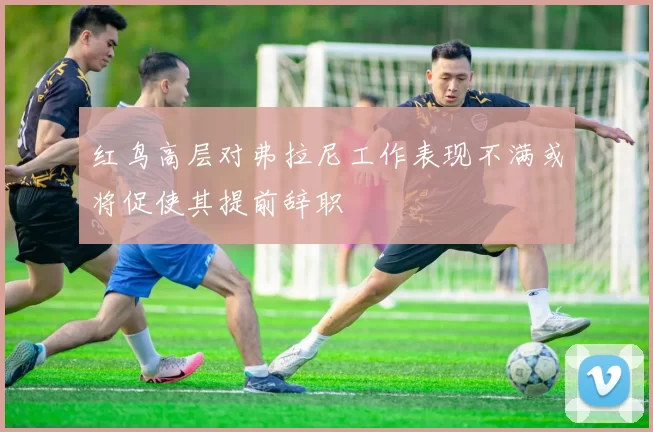 红鸟高层对弗拉尼工作表现不满或将促使其提前辞职