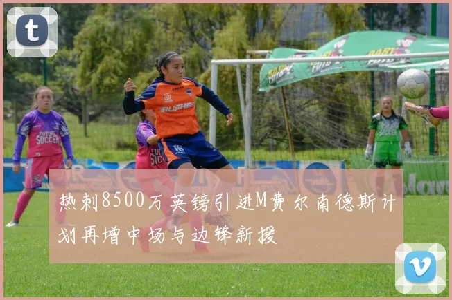 热刺8500万英镑引进M费尔南德斯计划再增中场与边锋新援