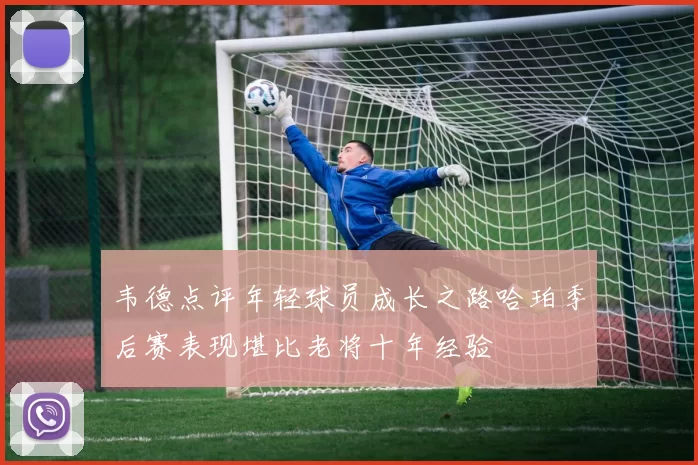 韦德点评年轻球员成长之路哈珀季后赛表现堪比老将十年经验